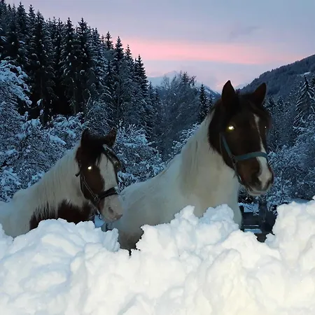 Umundum Huette בקתה