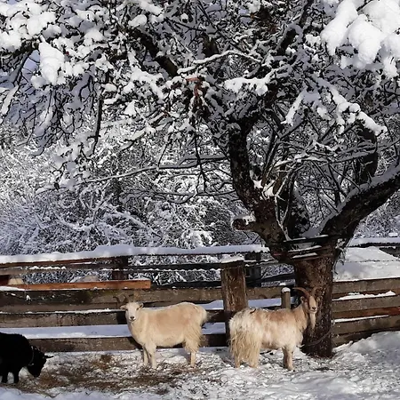 בקתה Umundum Huette *