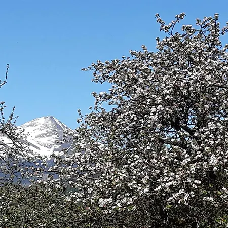 Domek alpejski Umundum Huette Katsch an der Mur