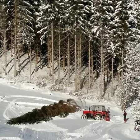 Alpstuga Umundum Huette Katsch an der Mur