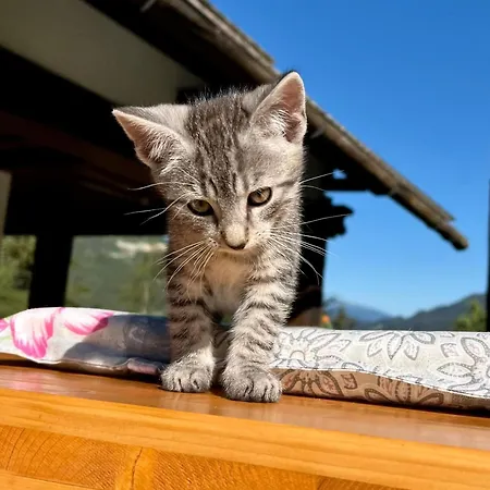 Umundum Huette Katsch an der Mur