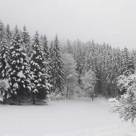 Umundum Huette Katsch an der Mur