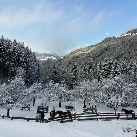 Umundum Huette בקתה