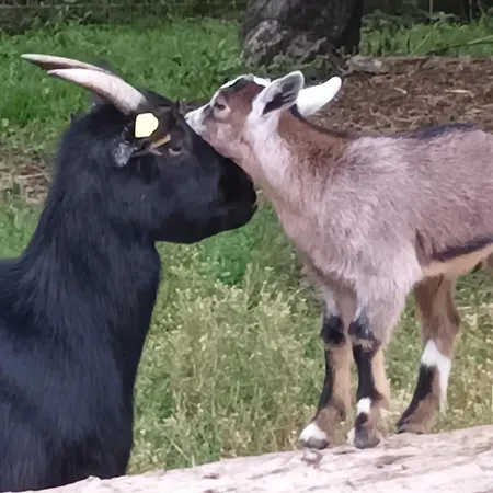 Umundum Huette * Katsch an der Mur