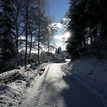 בקתה Umundum Huette Katsch an der Mur