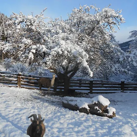 Umundum Huette Farm stay *