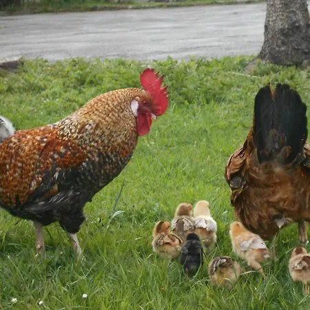 Umundum Huette * Katsch an der Mur