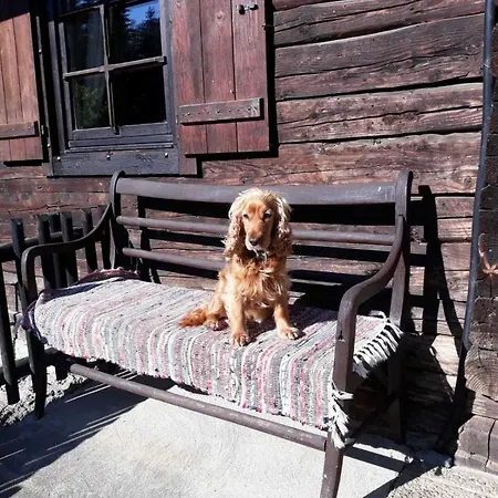 Farm stay Umundum Huette *
