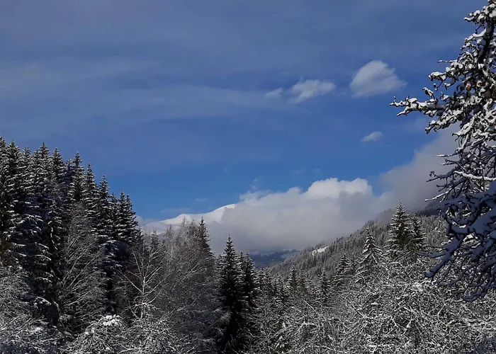 Umundum Huette * Katsch an der Mur