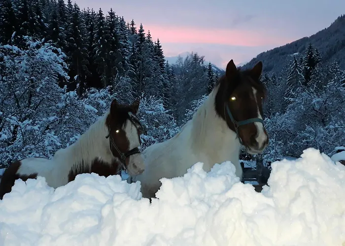 Umundum Huette Chalet