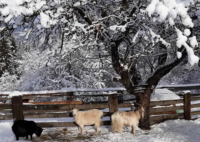 Chalet Umundum Huette *