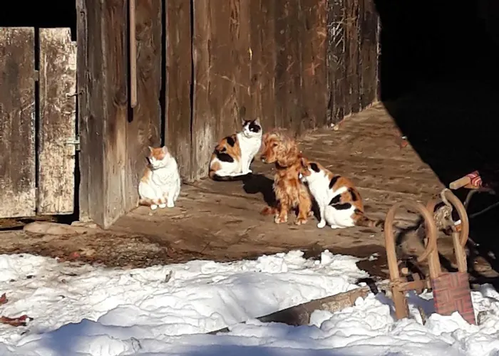 Horská chata Umundum Huette *