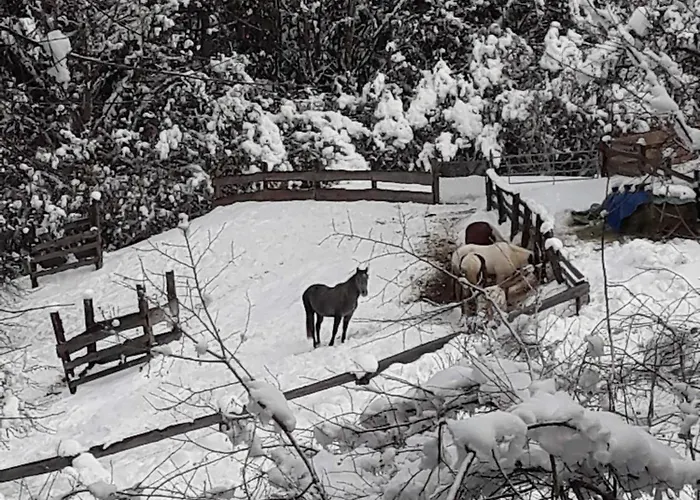 Umundum Huette * Katsch an der Mur