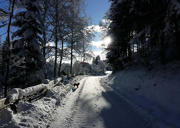 Horská chata Umundum Huette Katsch an der Mur