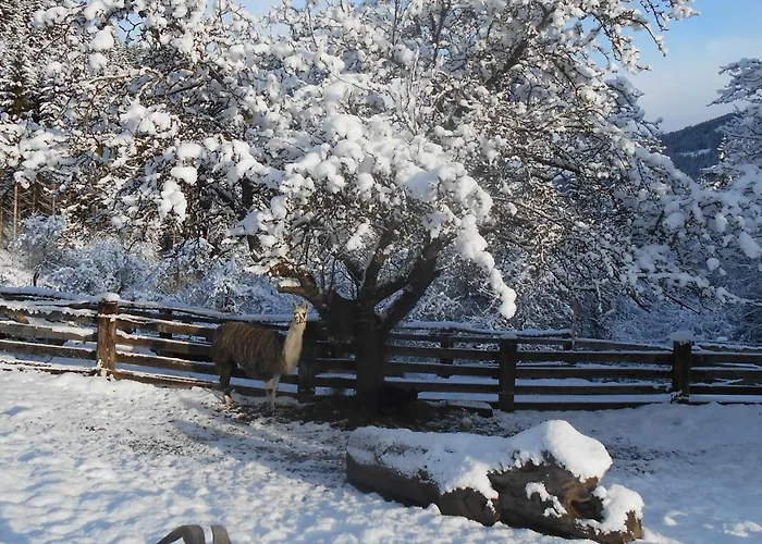 Umundum Huette Chalet *