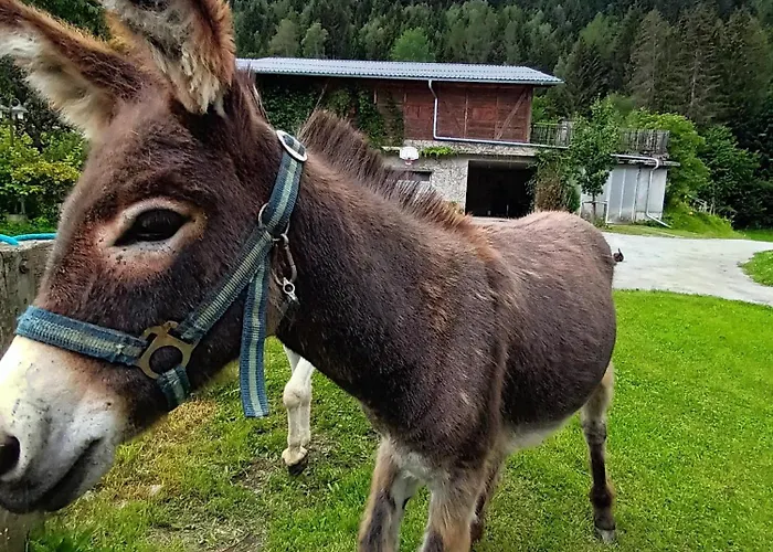 Umundum Huette Chalet Katsch an der Mur