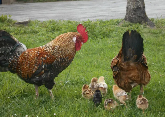 Umundum Huette * Katsch an der Mur